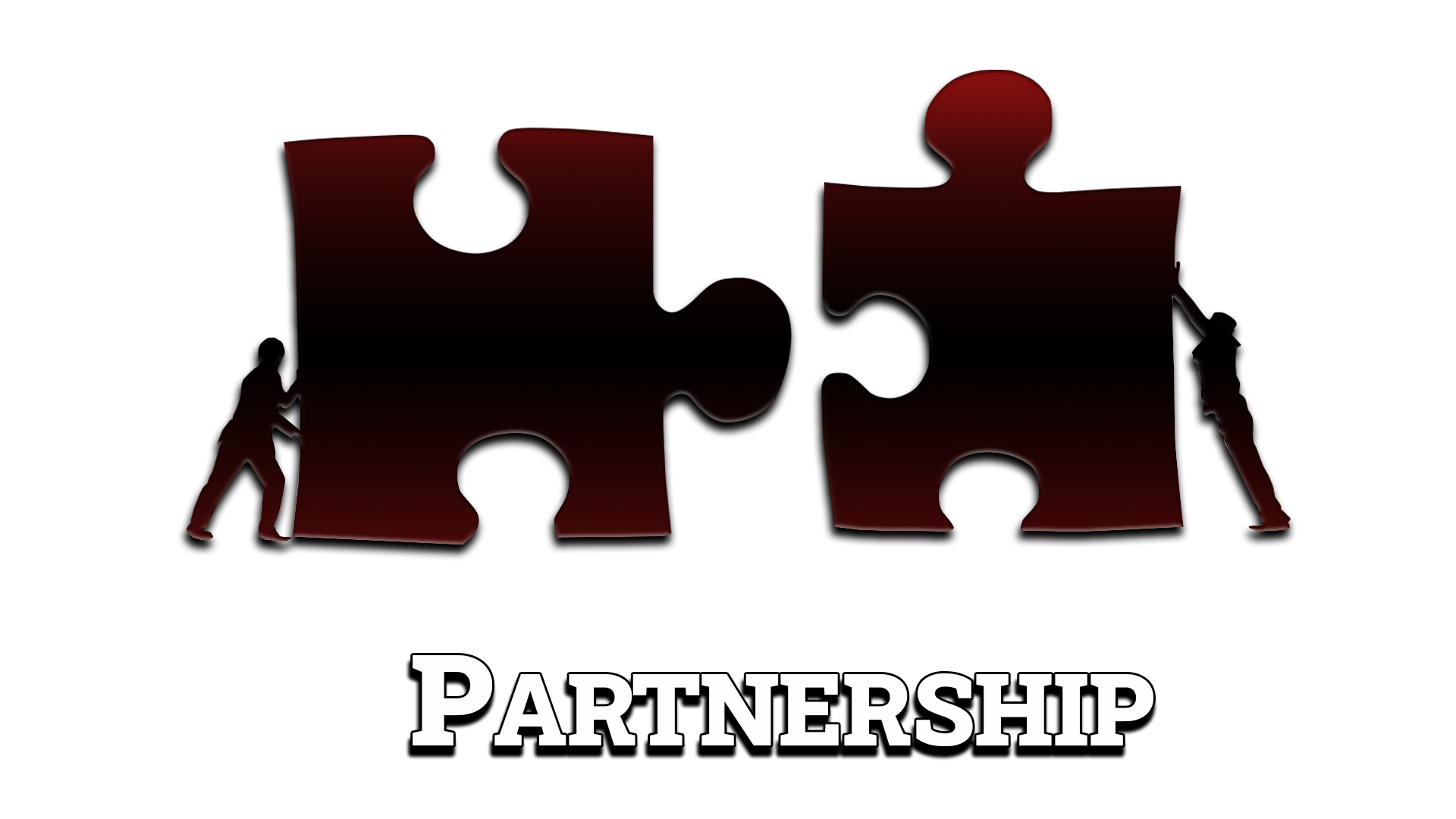 Partnership Puzzle